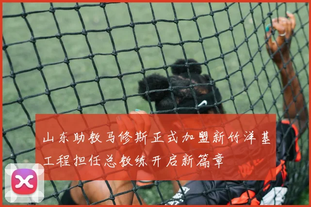 山东助教马修斯正式加盟新竹洋基工程担任总教练开启新篇章