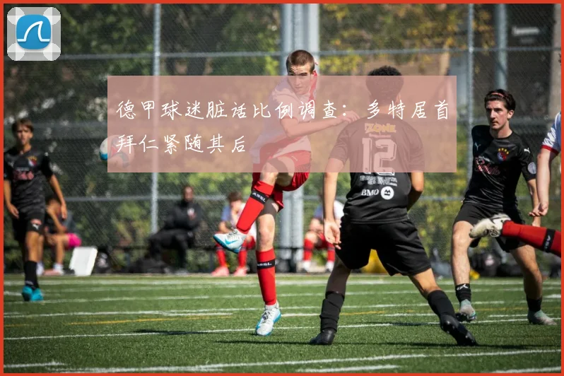 德甲球迷脏话比例调查：多特居首拜仁紧随其后